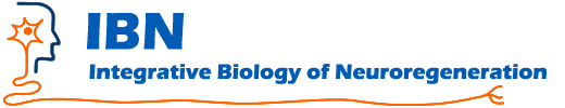 Integrative Biology of Neuroregeneration